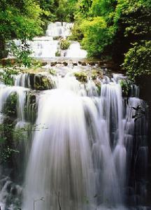 2、白龙河景区（含龙珠湾风景区、大象岛生态旅游景区）