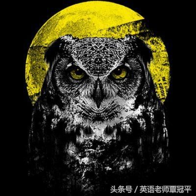 夜猫子英文怎么说？夜猫子英文俚语-第1张图片-