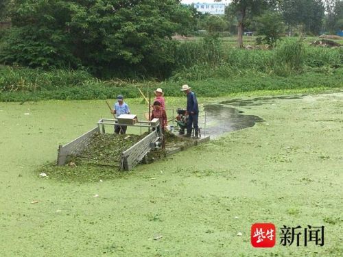 diy水草液肥配方，水草液肥配方 红色水草-第1张图片-