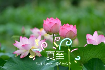 ​夏至养生吃什么夏至到的时候别忘了吃“夏至七宝”