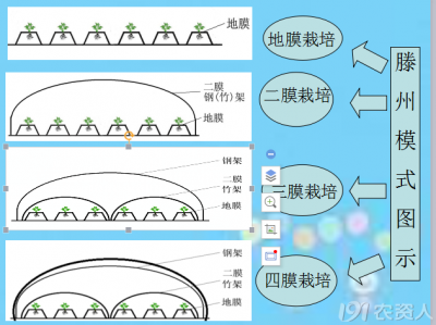 ​马铃薯种植技术及方法（马铃薯主要栽培技术方法）