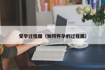 ​受孕过程图（如何怀孕的过程图）