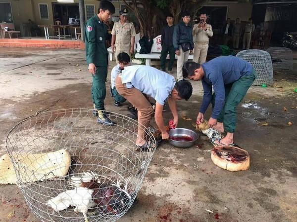 92只鸡参加斗鸡后被“处死”，抗议者冲去时鸡肉已吃光