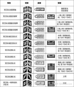 ​二战纳粹德国党卫军军衔图解