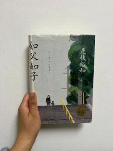 ​《如父如子》：是枝裕和导演的温情巨作，影迷热荐与深刻共鸣